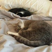 Susan Kinkle's photo