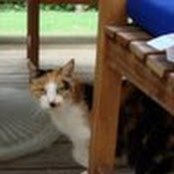Daryl Paone's photo