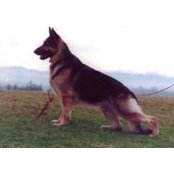 Cathleen Bennett's photo