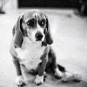 Bill Caine's photo