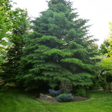 Plant Materials