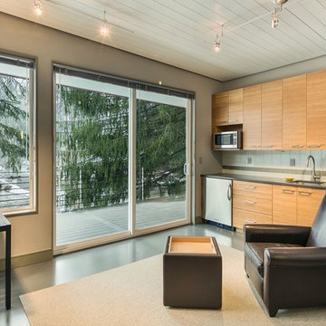 Contemporary Retreat