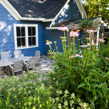 Rain Gardens & Native Plants