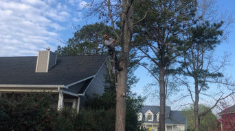 Best 15 Tree Trimming Removal Services In Wilmington Nc Houzz