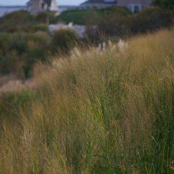 Seaside