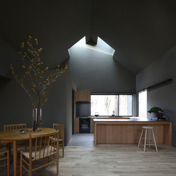 Case Study House #91 K house