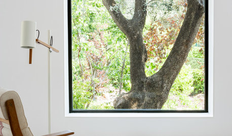 Ventanas seguras: Precios y tipos de vidrio para proteger tu casa