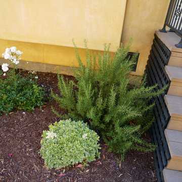 Los Gatos Cottage