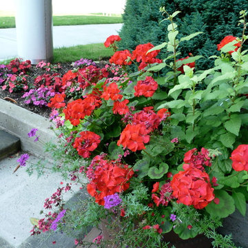 Container Gardens