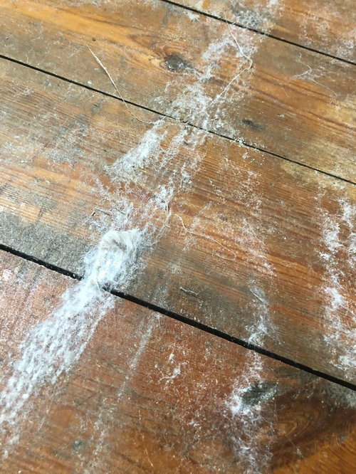 How to get old carpet off wooden floors Houzz UK