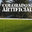 Colorado springs artificial Turf