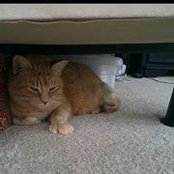 Melanie Kramper Pickert's photo