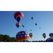 Casey Fields's photo