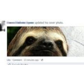 Claudette Conklin's photo