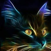 Carole Rivard's photo