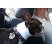 Travis Spence's photo