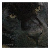 Hope Bindler's photo