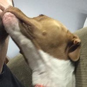 Tristan Thomas's photo