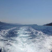 Irena Milković's photo