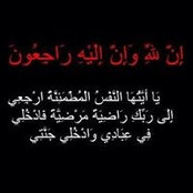 Mohamed Sameeh's photo