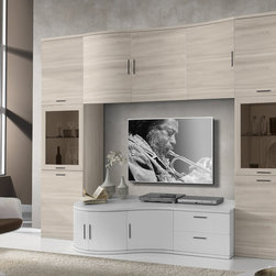 Modern Italian Wall Unit Composition JA-1077 - $3,365.00 - Entertainment Centers And Tv Stands