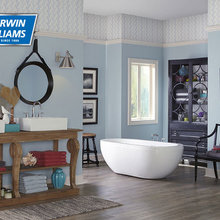 Interior Paint