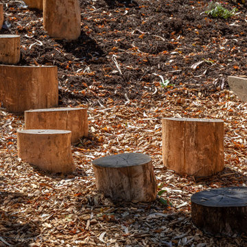 Reclaimed stumps from nearby Eucalyptus re-used for play