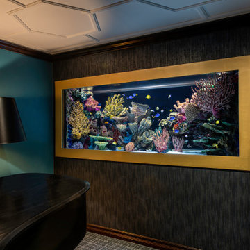 The James Bond Room - 600 gallons In-Wall Aquarium