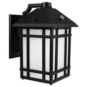 Feit Electric Flame effect 13-in Black Integrated Outdoor Wall Light in the  Outdoor Wall Lights department at