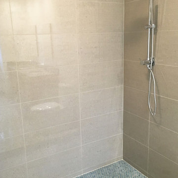 Bloomington Reisner Master Bath