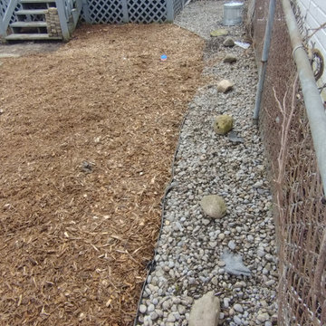 Regina's Dog-Friendly Yard