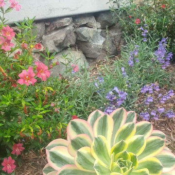 Solana Beach Garen