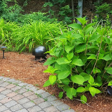Hidden outdoor audio solution