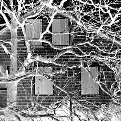 Collection January 2014 - Prints And Posters
