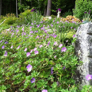 Rustic Granite and Plantings