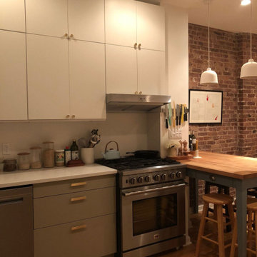 First-Time Renovators Make the Pieces Fit In Remodeled IKEA Kitchen