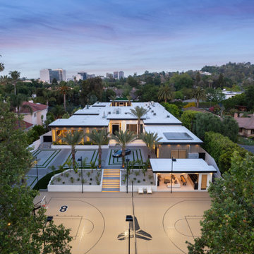 Petit / Encino