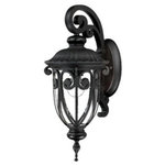 Acclaim Lighting - Acclaim Lighting 2102BK Naples - One Light Outdoor Wall Mount - This One Light Wall Lantern has a Black Finish and is part of the Naples Collection.  Shade Included.    Remodel: NULL  Trim Included: NULLNaples One Light Outdoor Wall Mount Matte Black Clear Seeded Glass *UL Approved: YES *Energy Star Qualified: n/a  *ADA Certified: n/a  *Number of Lights: Lamp: 1-*Wattage:100w Medium Base bulb(s) *Bulb Included:No *Bulb Type:Medium Base *Finish Type:Matte Black