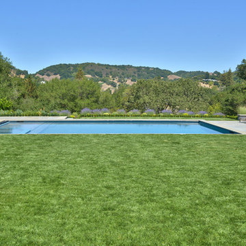 Orinda, Ca Bluestone Auto cover Pool/Spa