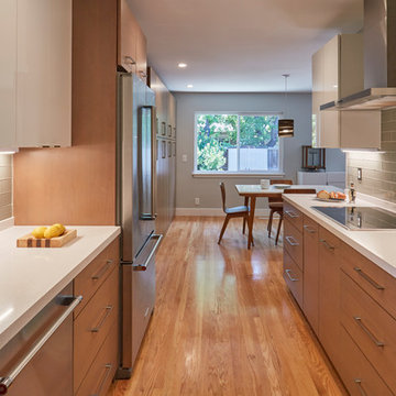 Modern Galley Kitchen Remodel