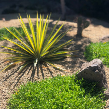 Awbrey Butte - Desert Style