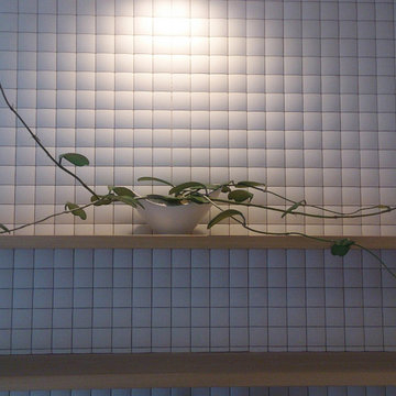 Plants.S