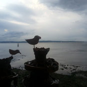Heather Toal's photo