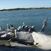 Rafael Sanchez's photo