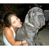 Lauren Meisels's photo