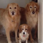 Jayne Dipsia's photo