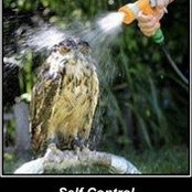 Derek Coutts's photo