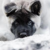 Ирина Гадзаова's photo