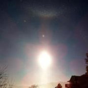 Laurel Dryland's photo