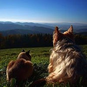 Ani Gi's photo